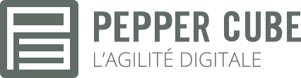 Pepper Cube Logo